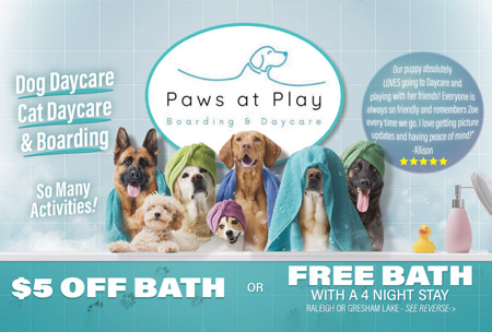 Paws at play postcard design